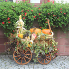 geschmückter Wagen vom Obst- und Gartenbauverein